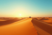Désert de dunes dorées au lever du soleil avec caravane de chameaux